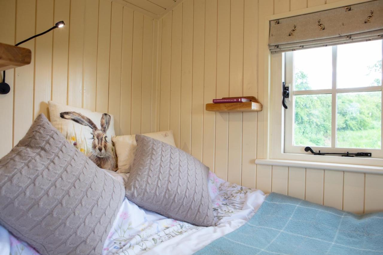 Romantic Secluded Shepherd Hut Hares Rest Southwick  Екстер'єр фото