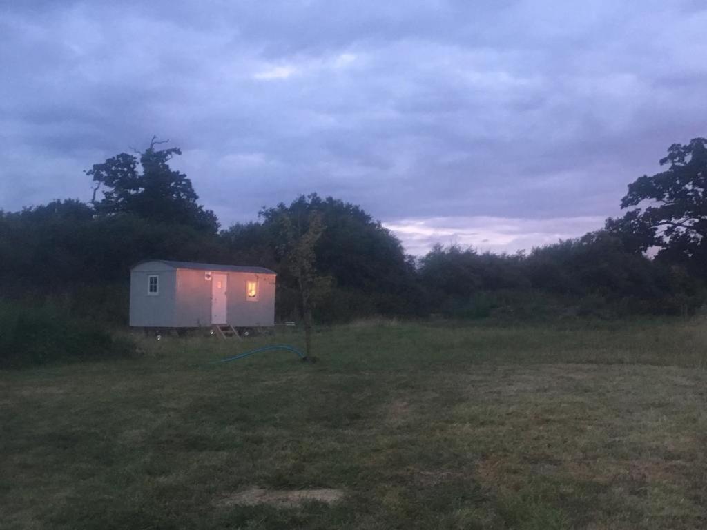 Romantic Secluded Shepherd Hut Hares Rest Southwick  Екстер'єр фото