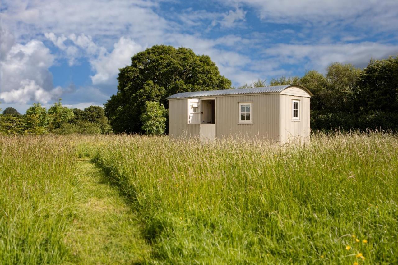 Romantic Secluded Shepherd Hut Hares Rest Southwick  Екстер'єр фото