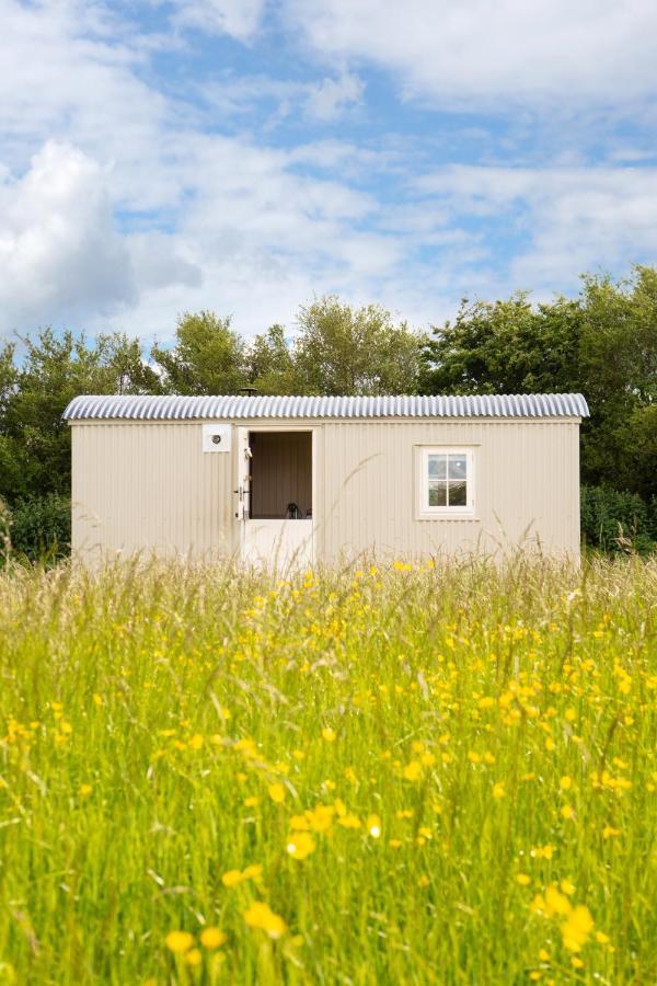 Romantic Secluded Shepherd Hut Hares Rest Southwick  Екстер'єр фото